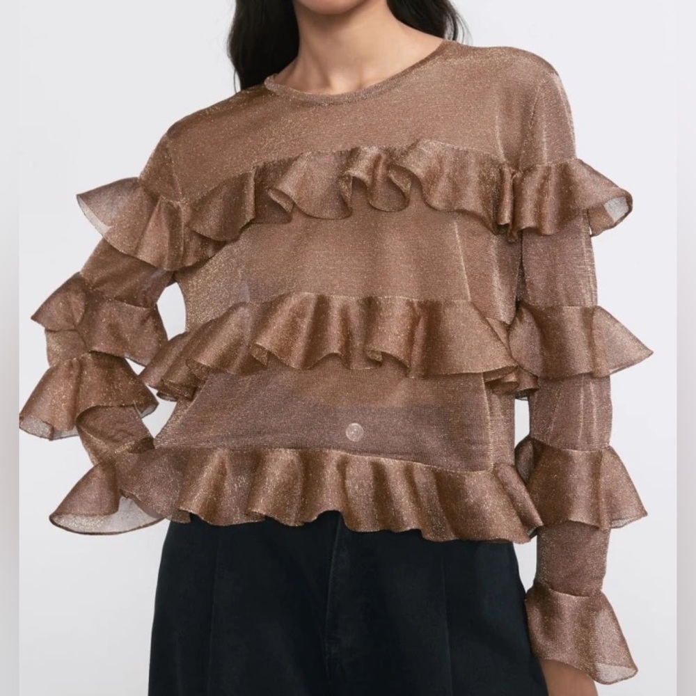 ZARA | Cropped Ruffled & Sheer Metallic Top